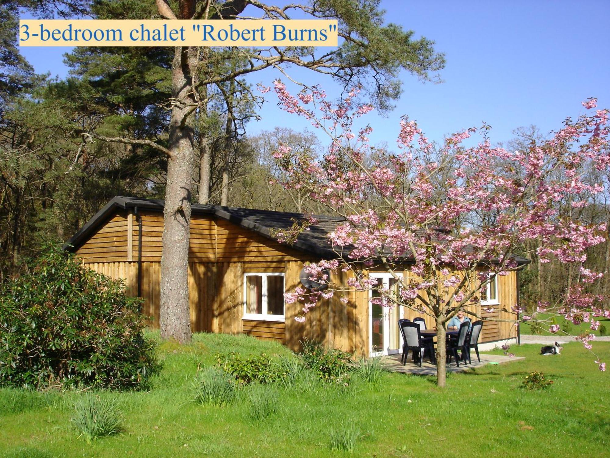 Airdeny Chalets Taynuilt Quarto foto